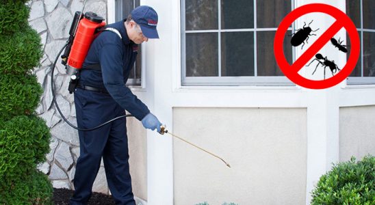 Çelebi Dezenfeksiyon böcek ilaçlama ve haşere kontrolü — ilaclama-tr.com
